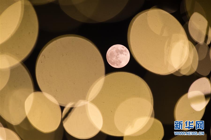 ??? ???? ???? ?????? ?? ????? ?????