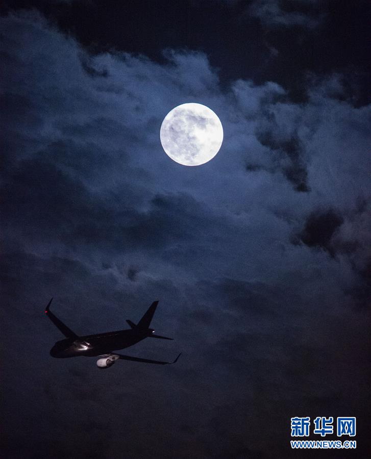 ??? ???? ???? ?????? ?? ????? ?????