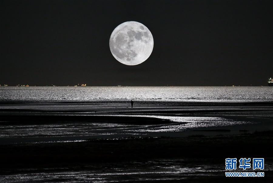 ??? ???? ???? ?????? ?? ????? ?????