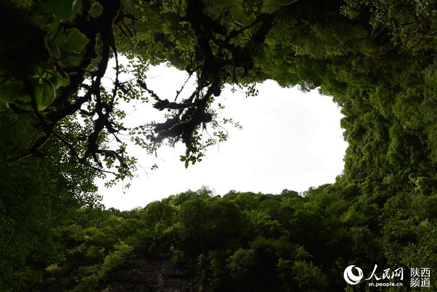 ?????? ??? ??? ?????? ????? ?? ?????