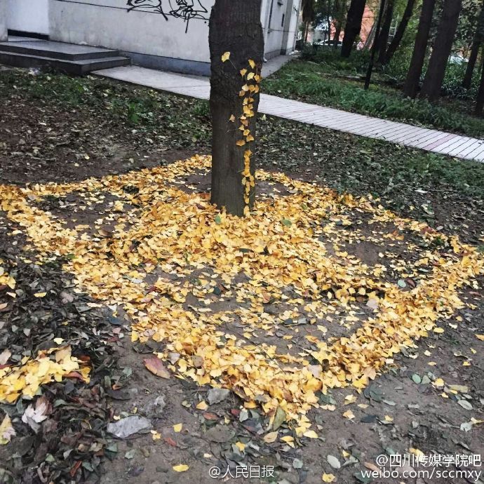 ????? ?????? ??? ?????? ?????? ????????? ?? ???? ????