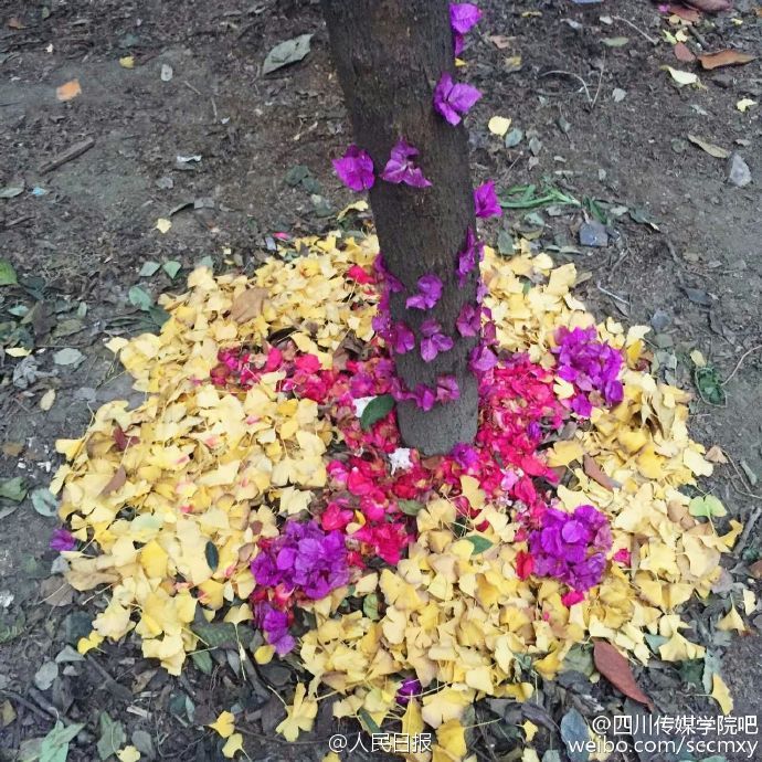 ????? ?????? ??? ?????? ?????? ????????? ?? ???? ????