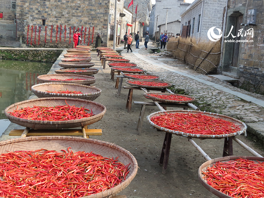 ???? ????????: ???? ??? ????? ????????? ??????? ???????