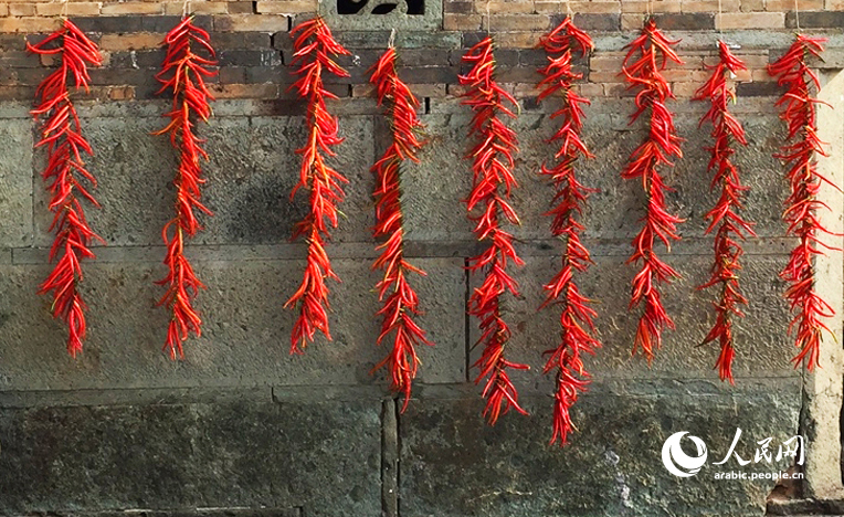 ???? ????????: ???? ??? ????? ????????? ??????? ???????