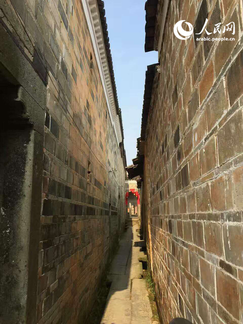 ???? ????????: ???? ??? ????? ????????? ??????? ???????