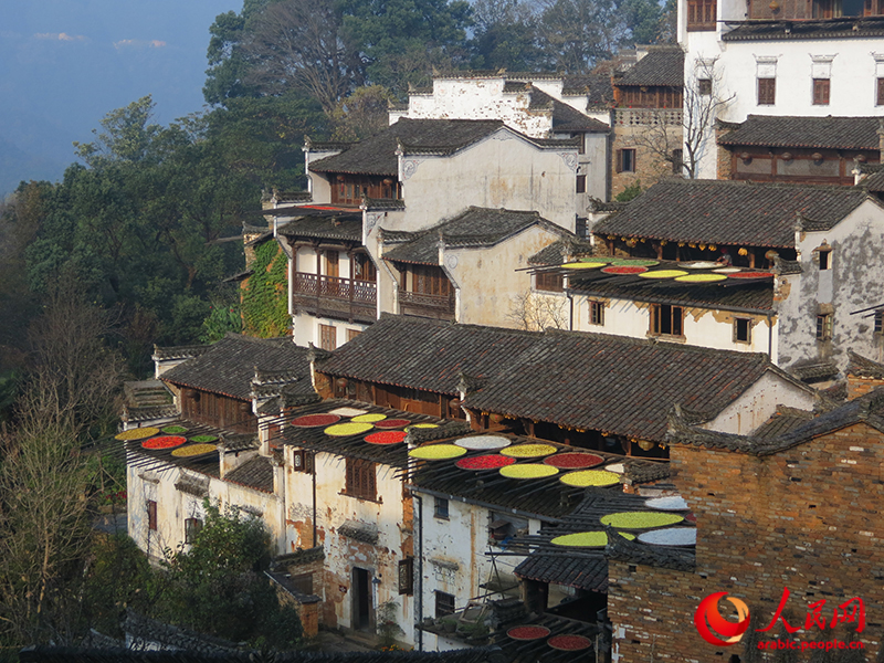 ???? ??????? ??? ???????: ??? ???? ????? ???? ????? ?????