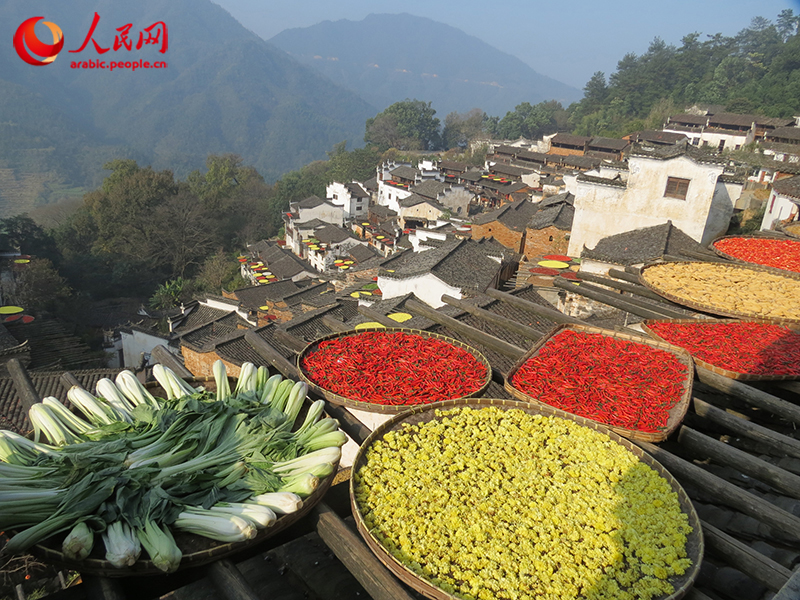 ???? ??????? ??? ???????: ??? ???? ????? ???? ????? ?????