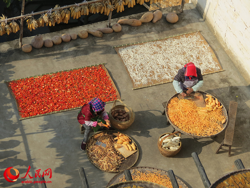 ???? ??????? ??? ???????: ??? ???? ????? ???? ????? ?????