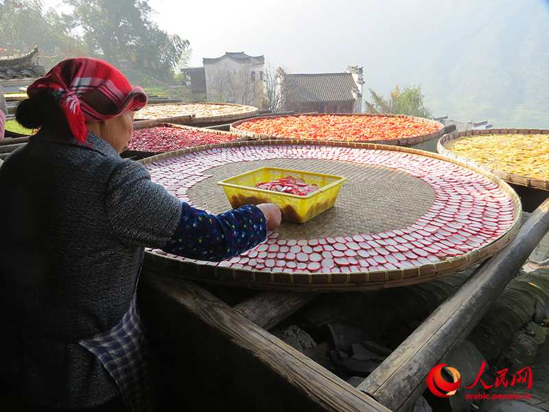 ???? ??????? ??? ???????: ??? ???? ????? ???? ????? ?????