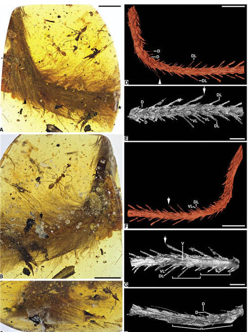 ????? ?????? ?????? ?????? ??? ??? ??????? ???? ??????