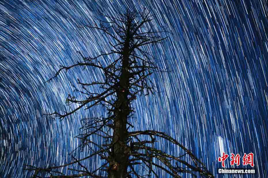 ??????: ????? ?????? ?????? ????? ?? ?????