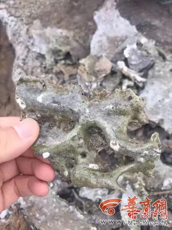 ???? ??? ????? ??? ????? ?? ???? ?????