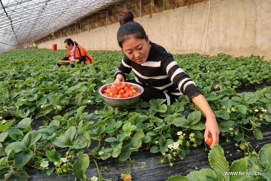 ????? ???????? ?? ?????? ??????? ????? ????????? ???????? ??? ????? ?????