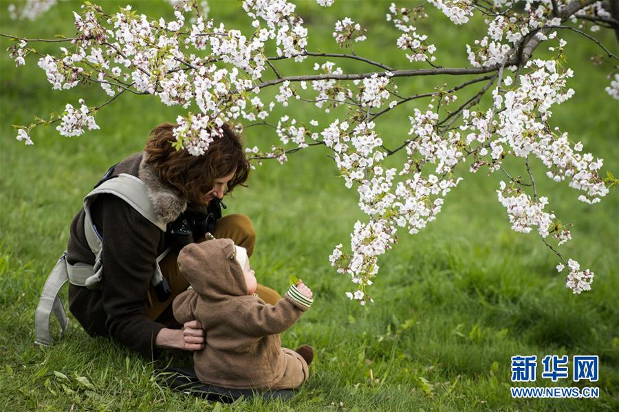 ??????? ?????? ?????? ?????? ?? ??? 2016: ??????? ???????