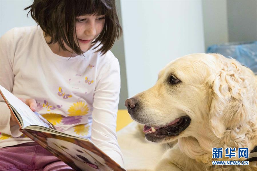 ??????? ?????? ?????? ?????? ?? ??? 2016: ??????? ???????