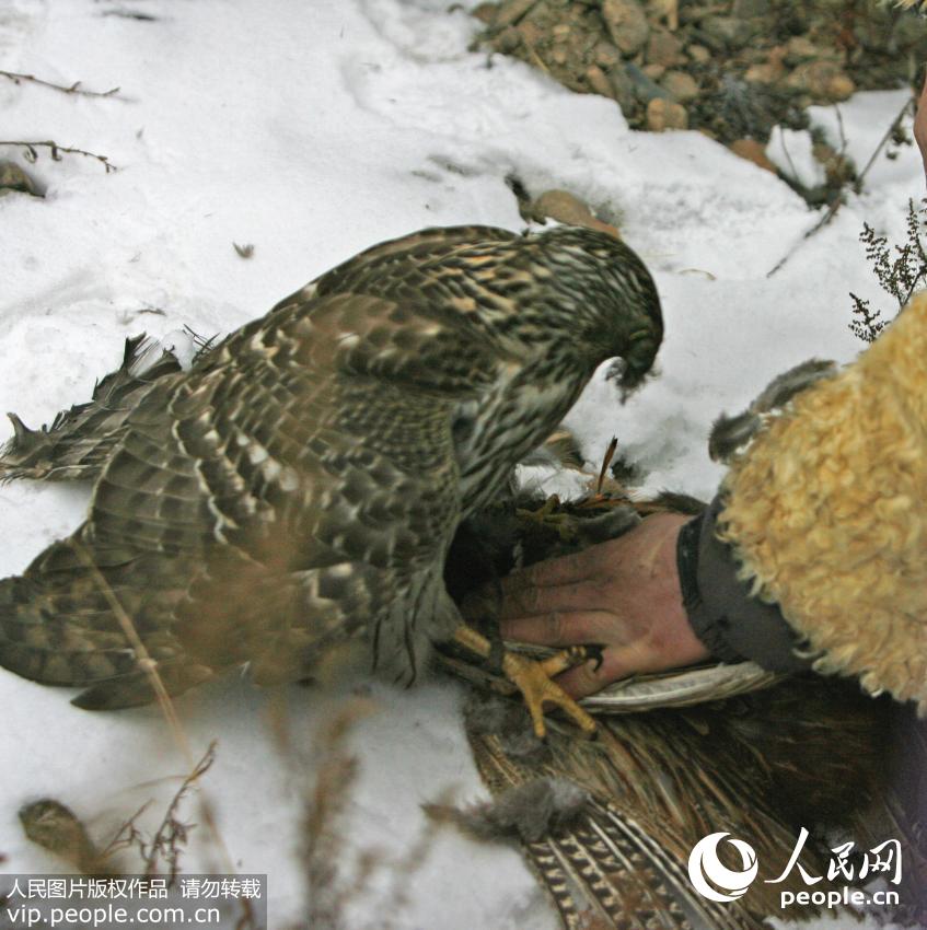 ???????? ??????? ?????? ?????? ?? ???? ??? ?????