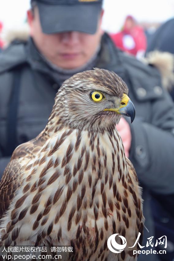 ???????? ??????? ?????? ?????? ?? ???? ??? ?????