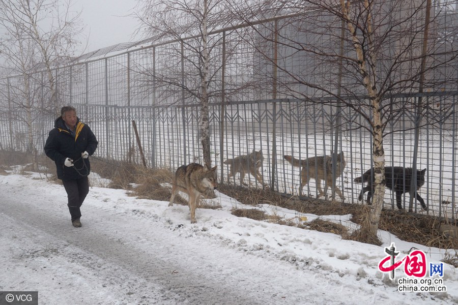 ???? ?????? ???? ??? 150 ????? ????? ?? ????????