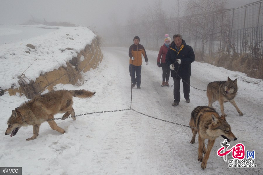 ???? ?????? ???? ??? 150 ????? ????? ?? ????????