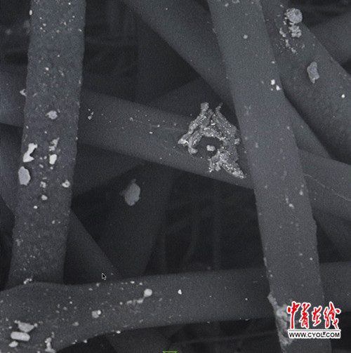 ???? ???? ???? ?? ?????? ?????? ??????? ??? ??????