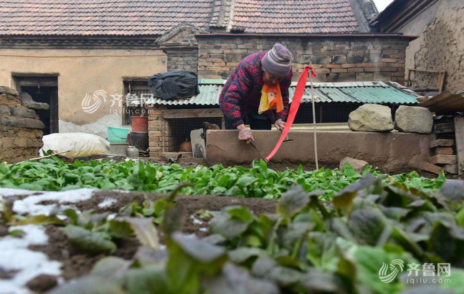 ??? ??? ?????? ???? ?? ????? ???? 84 ????