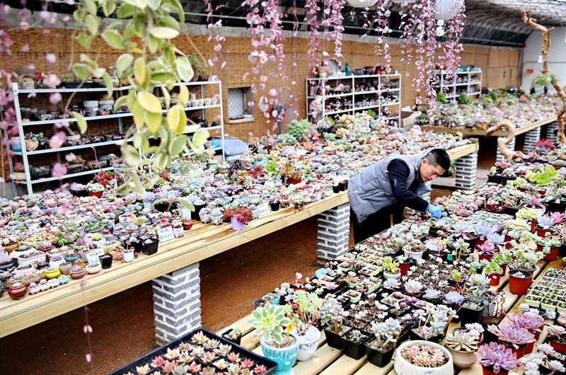 ????? ???? ?? ??? ?????????? ???? ??? ????? ??????? ???????? ????????