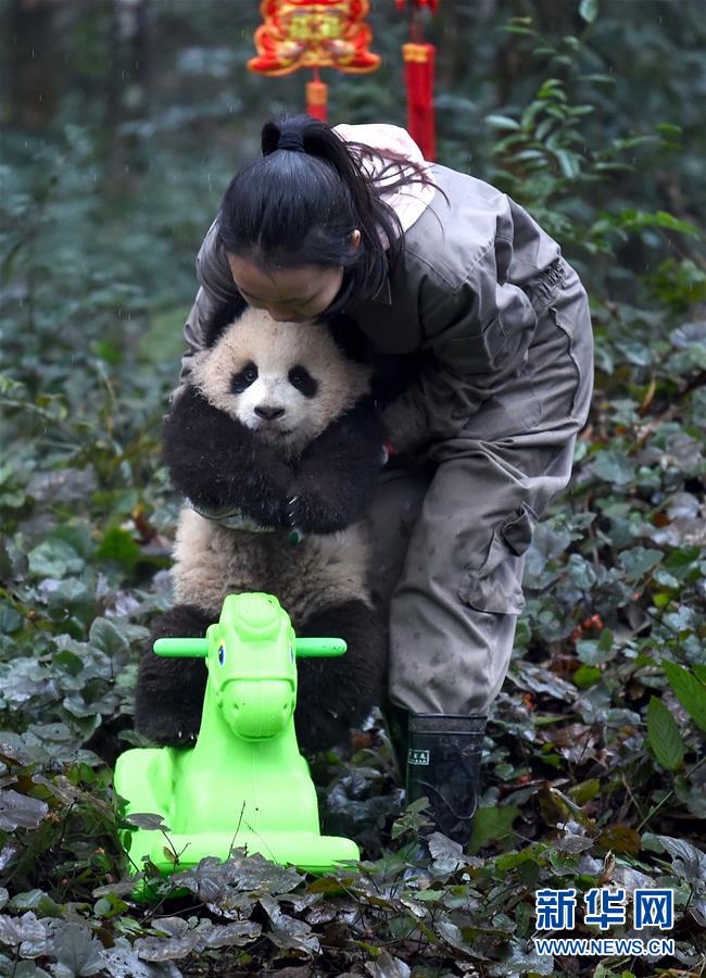 ???? ??????? ???????? ???????? ??? ??????