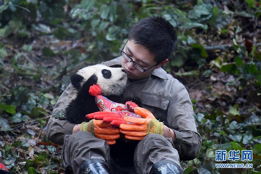 ???? ??????? ???????? ???????? ??? ??????