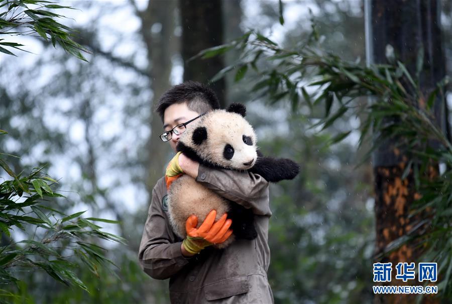 ???? ??????? ???????? ???????? ??? ??????