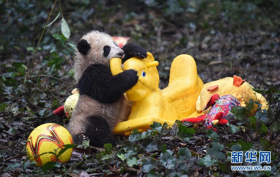 ???? ??????? ???????? ???????? ??? ??????