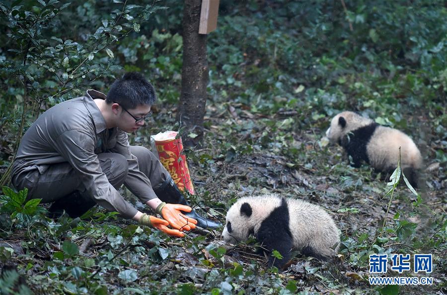 ???? ??????? ???????? ???????? ??? ??????