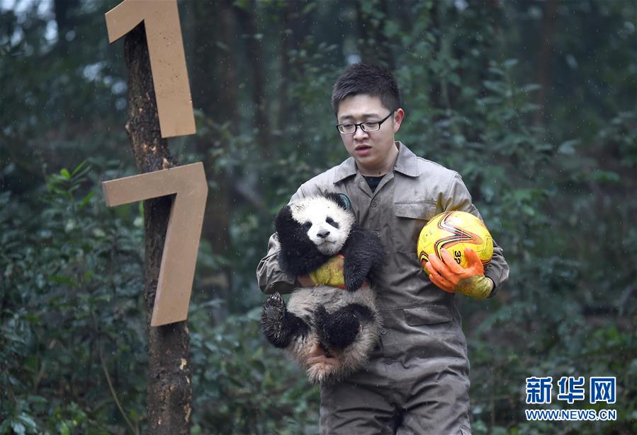 ???? ??????? ???????? ???????? ??? ??????