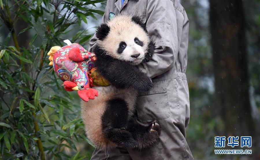 ???? ??????? ???????? ???????? ??? ??????