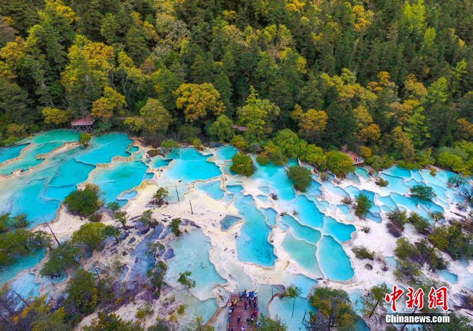 ?????? ??? ????? ????????? ?????????? ???????