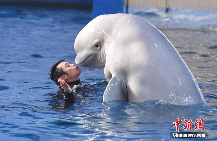 ??? ??? ?? ????? ??????