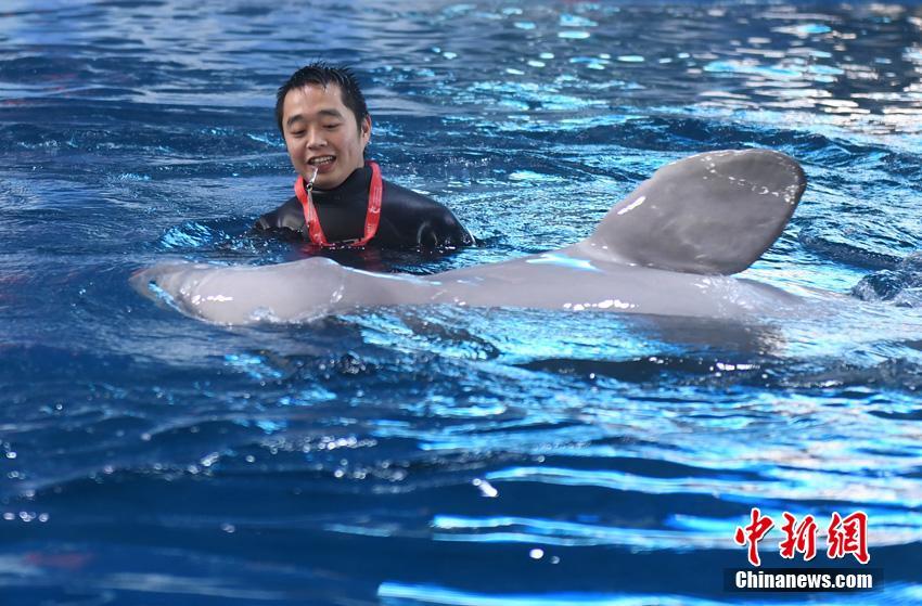 ??? ??? ?? ????? ??????