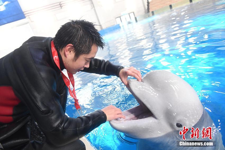 ??? ??? ?? ????? ??????