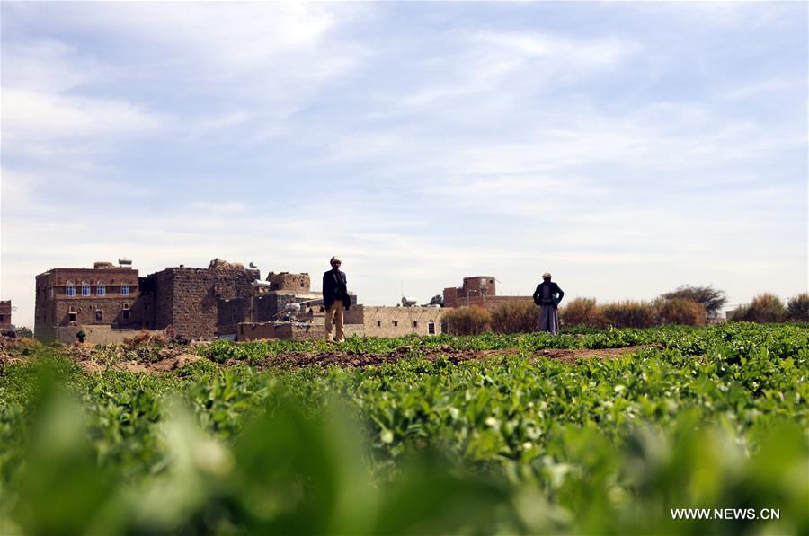 ????? ???????: 14 ????? ??? ?? ????? ?????? ?? ?????? ????? ???????