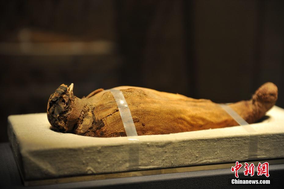 ???? ????? ??????? ???? ???? 