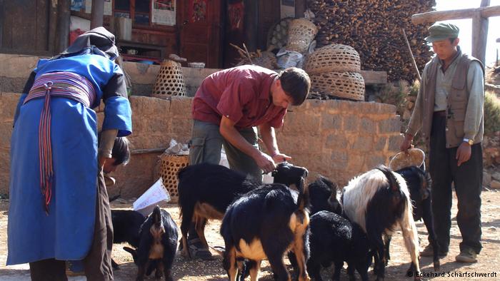 ???? ?????? ??? 15 ???? ?? ????? ??? ????? ?? ??????  ????? ?????