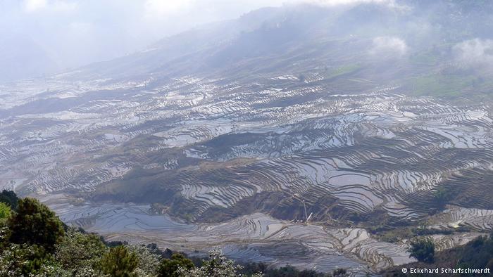 ???? ?????? ??? 15 ???? ?? ????? ??? ????? ?? ??????  ????? ?????