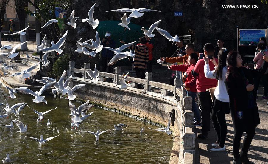 ???? ?????? ????? ??? 