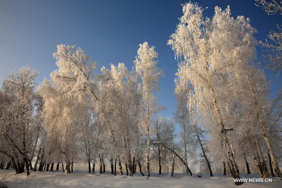 ????? ???? ??????? ?? ??????? ?????????? ?? ???????? ???? ???? ????? 