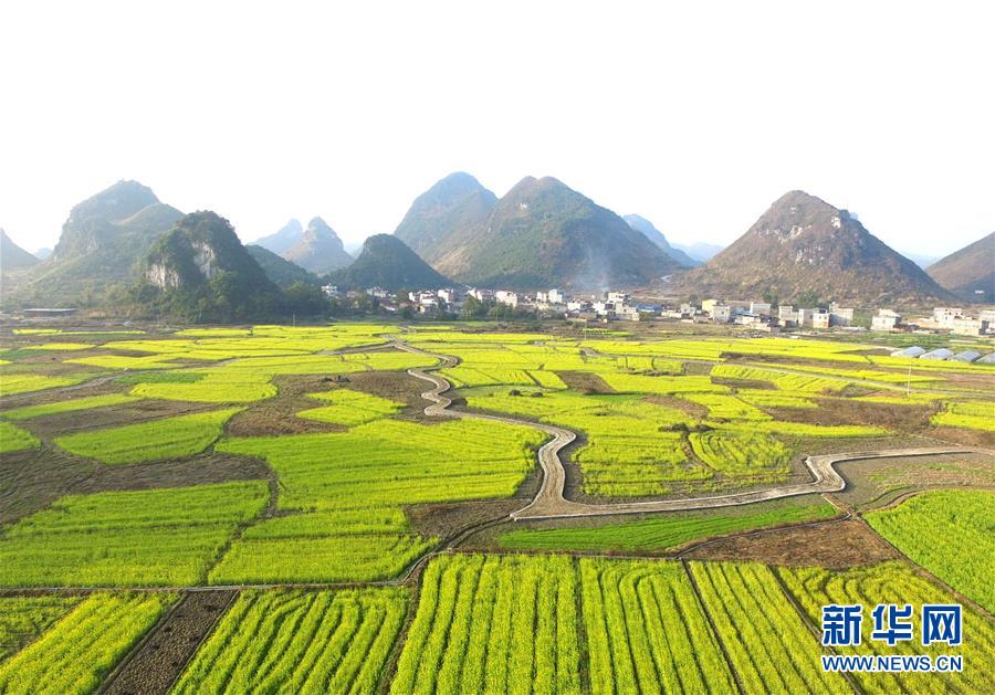 ?????.. ?????? ???? ????? ?? ????