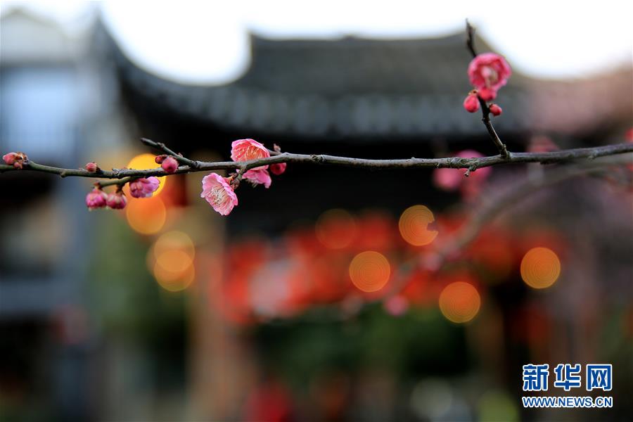 ?????.. ?????? ???? ????? ?? ????