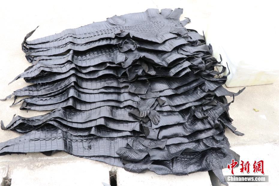 ?????? ???? ?? 1600 ??? ????? ?? ?????