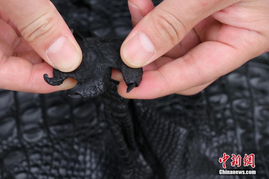 ?????? ???? ?? 1600 ??? ????? ?? ?????