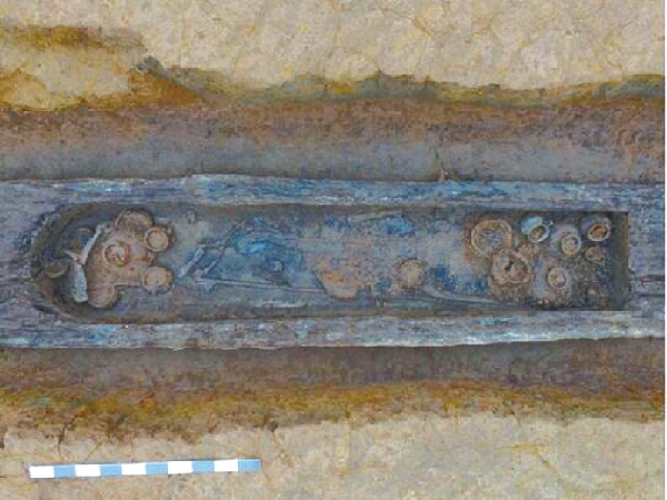 ?????? ???? ??????? ??????? ?? ????? ??????? ???????