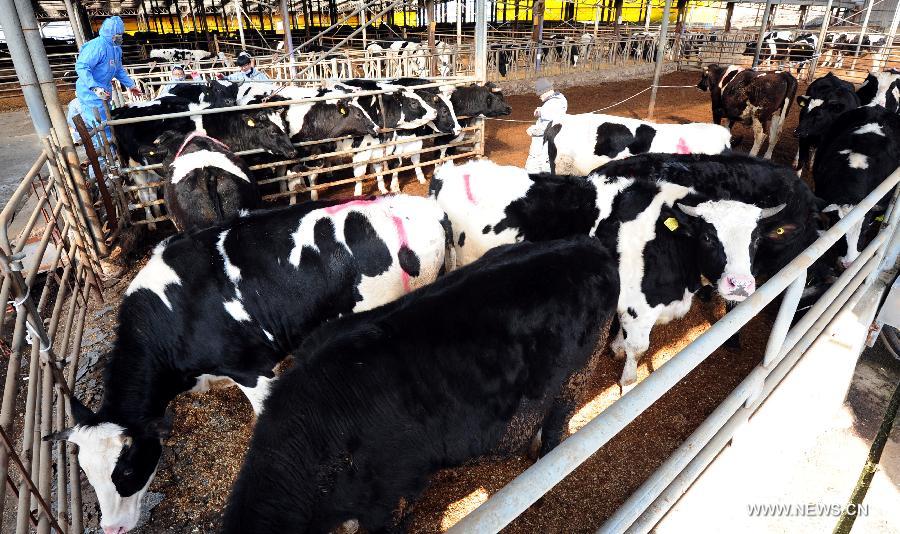 ????? ???????? ???? ???? ?????? ???? ????? ???????? ??? ???? ?????