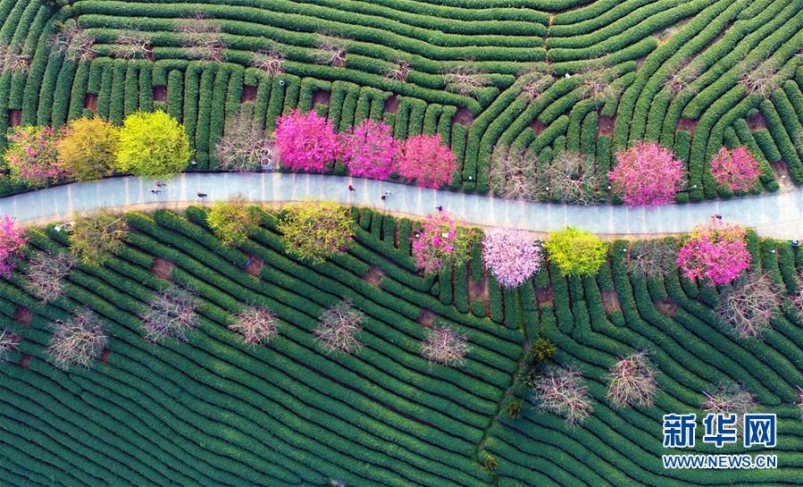 ?????? ??????? ???? ?????? ??????? ?? ??????